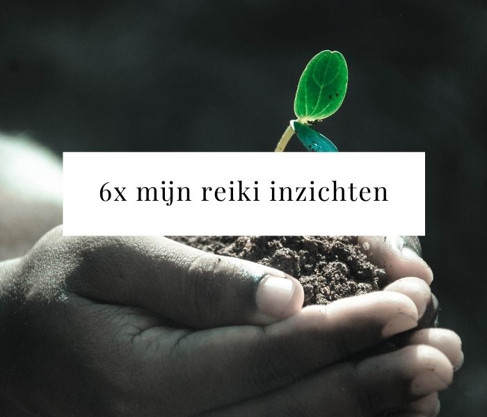 6x mijn inzichten van de cursus reiki